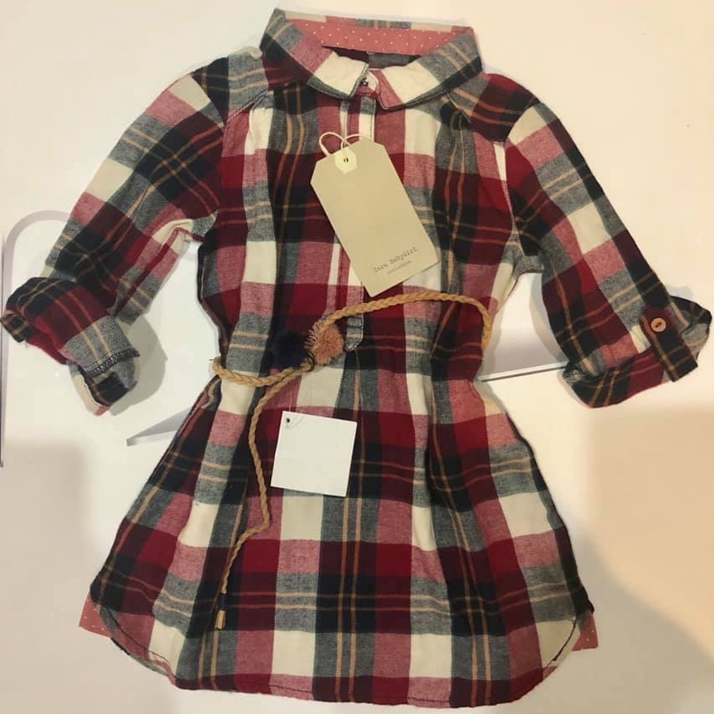 Zara fall dress
